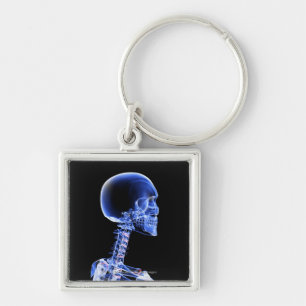 Close up x-ray of the bones in the neck key ring