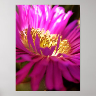 Closer Nature Flower Macro Poster