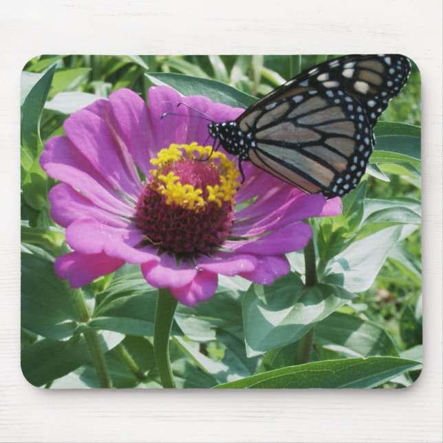 closeup butterfly mouse pad (Front)