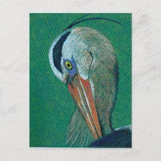 Closeup Heron Postcard