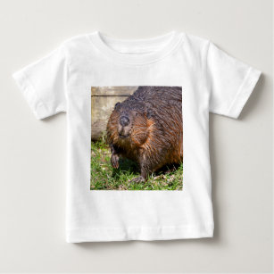 Closeup North American Beaver Baby T-Shirt