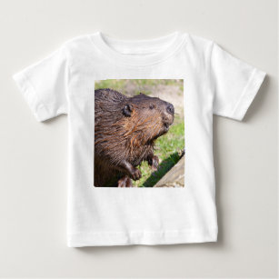 Closeup North American Beaver (Castor canadensis) Baby T-Shirt