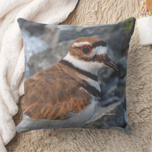 Closeup of a Beautiful Killdeer Cushion