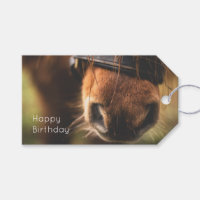 Closeup of a Cute Brown Horse Nose Birthday