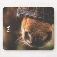 Closeup of a Cute Brown Horse Nose Personalised
