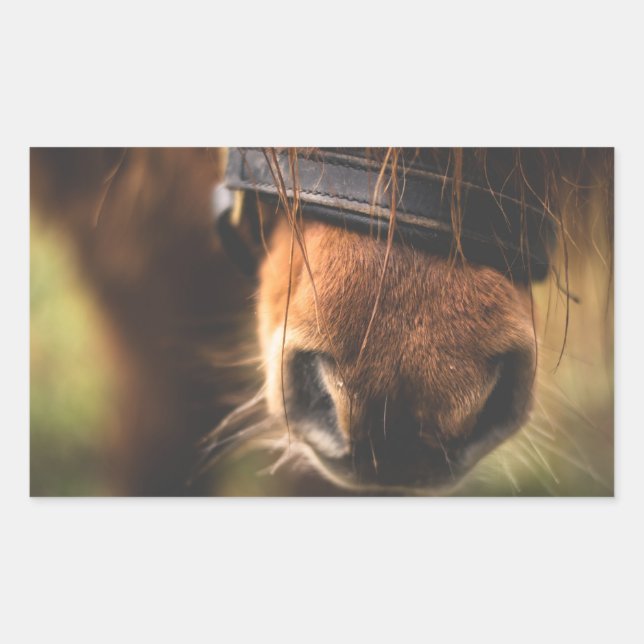 Closeup of a Cute Brown Horse Nose Rectangular Sticker (Front)