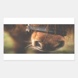 Closeup of a Cute Brown Horse Nose Rectangular Sticker