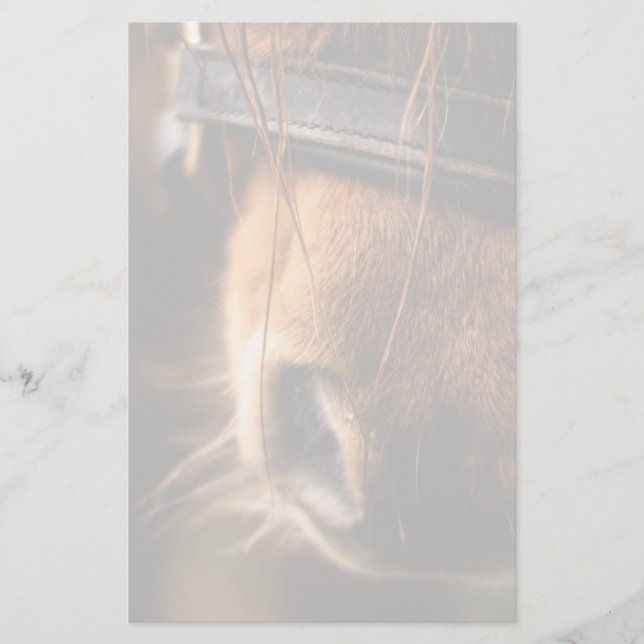 Closeup of a Cute Brown Horse Nose Stationery (Front)