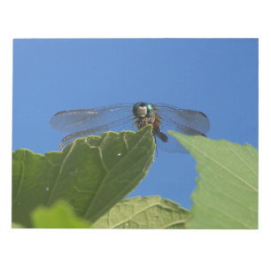 Closeup of a dragonfly against a bright blue sky notepad