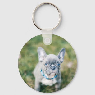 Closeup of a French Bulldog Key Ring