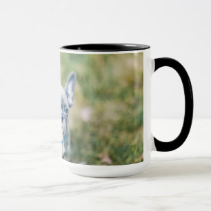 Closeup of a French Bulldog Mug
