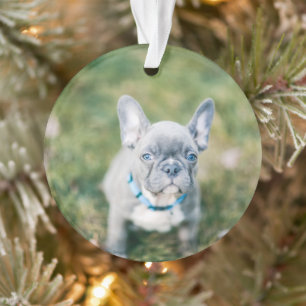 Closeup of a French Bulldog Ornament