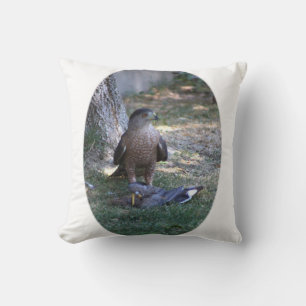 Closeup of Falcon cropped Cushion