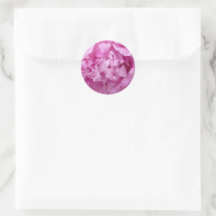 Closeup of pink peonies classic round sticker