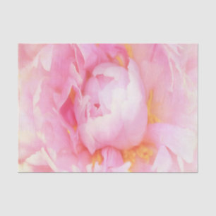 Closeup of Pink Peony Tissue Paper