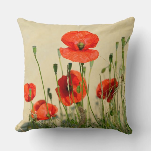 Closeup of poppies cushion (Front)