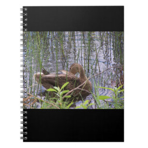 Closeup photo of a duck notebook