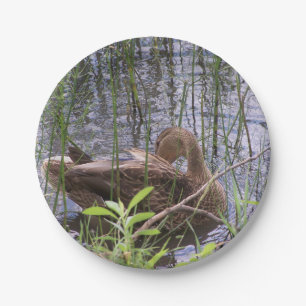 Closeup photo of a duck paper plate