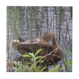 Closeup photo of a duck tile