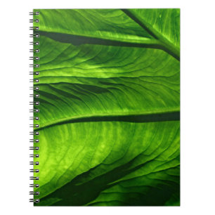 Closeup photo of green leaf notebook