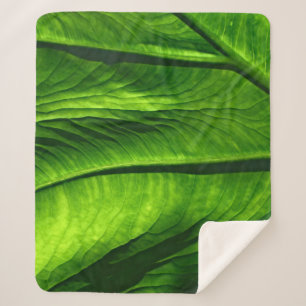 Closeup photo of green leaf sherpa blanket