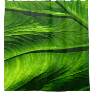 Closeup photo of green leaf shower curtain