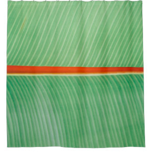 Closeup photo of green leaf shower curtain