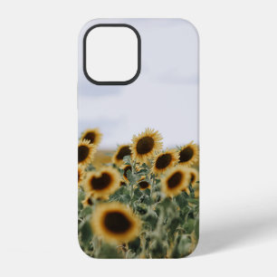CLOSEUP PHOTO OF SUNFLOWERS iPhone 12 CASE