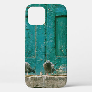 CLOSEUP PHOTO OF TWO GRAY PIGEONS ON GRAY CONCRETE iPhone 12 CASE