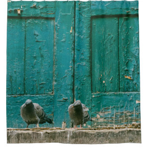 CLOSEUP PHOTO OF TWO GRAY PIGEONS ON GRAY CONCRETE SHOWER CURTAIN
