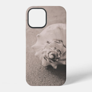 Closeup photo of white seashell on sand iPhone 12 case