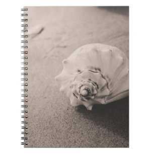 Closeup photo of white seashell on sand notebook