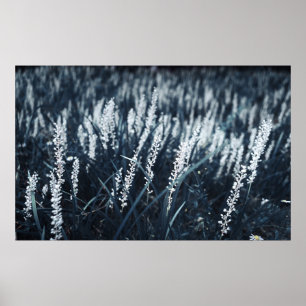 CLOSEUP PHOTOGRAPHY OF GREEN-LEAFED PLANT POSTER