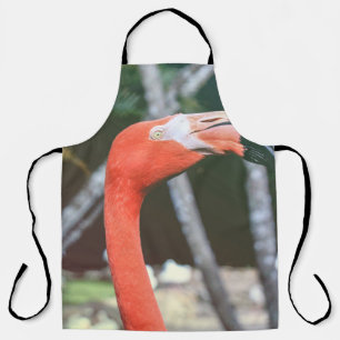 Closeup photography of red long-neck bird apron