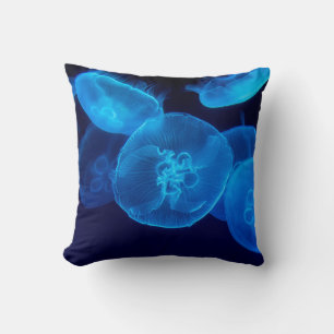 CLOSEUP PHOTOGRAPHY OF SWARM OF JELLYFISH CUSHION