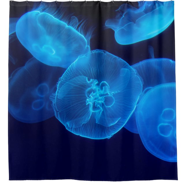 CLOSEUP PHOTOGRAPHY OF SWARM OF JELLYFISH SHOWER CURTAIN (Front)