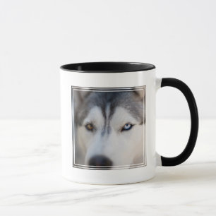 Closeup Stoic Gaze of an Alaskan Malamute Mug