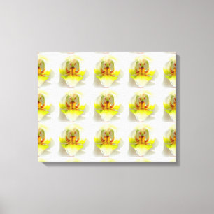 closeup yellow-white orchids canvas print