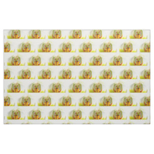 closeup yellow-white orchids fabric
