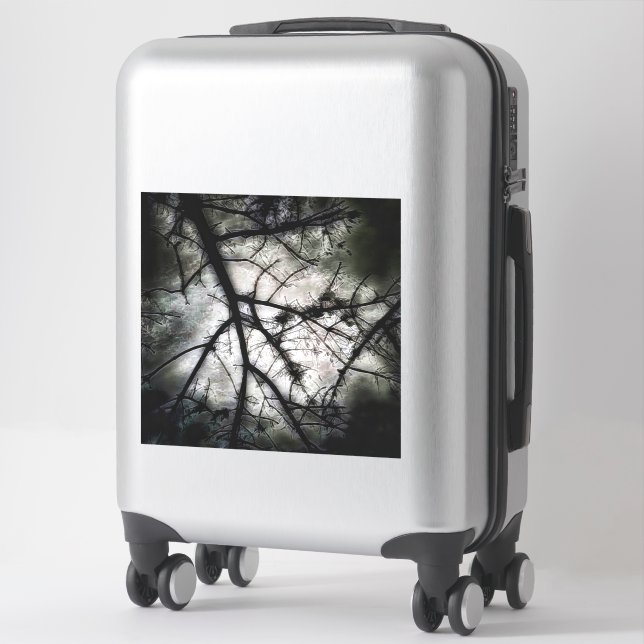 Closing In (Suitcase)