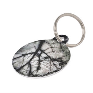 Closing In Pet Tag