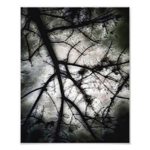 Closing In Photo Print