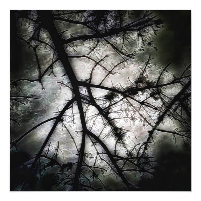 Closing In Photo Print (Front)