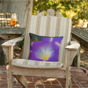 Closing Time for Morning Glories Cushion