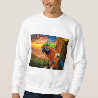 Clothing & Shoes > Men > Clothing > Hoodies & Swea