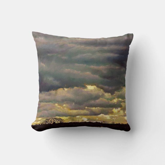 Cloud burst 2012 cushion (Front)