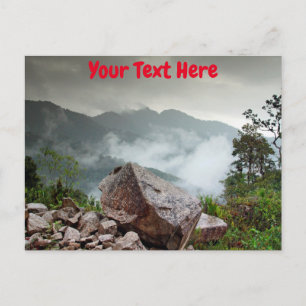 Cloud forest, Ecuador Postcard