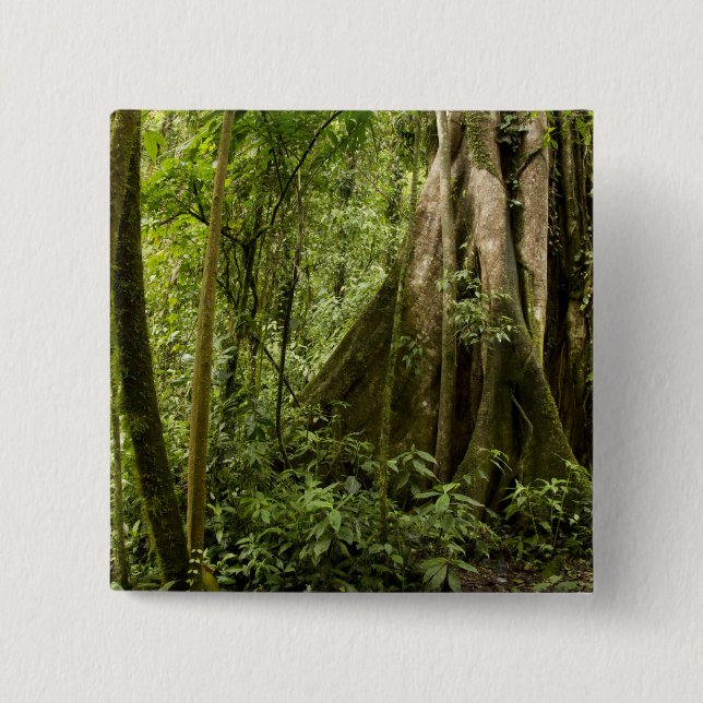 Cloud forest, Peace Rain Forest, Costa Rica 15 Cm Square Badge (Front)