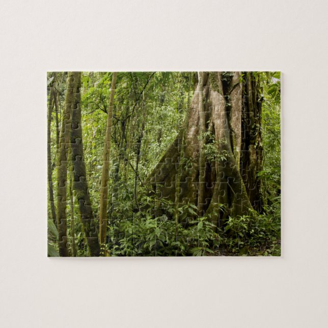 Cloud forest, Peace Rain Forest, Costa Rica Jigsaw Puzzle (Horizontal)