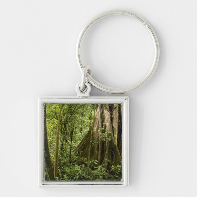 Cloud forest, Peace Rain Forest, Costa Rica Key Ring (Front)